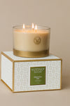 3 Wick Candle Sequoia Fir